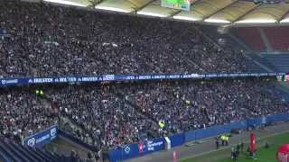 Relegationsspiel  Relegation match KSC vs HSV  Public Viewing Hamburg 010615 [upl. by Anayhd]