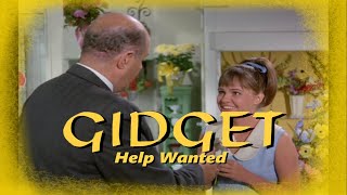 Gidget Help Wanted [upl. by Eded934]