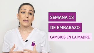 ¿Qué cambios y síntomas hay en la semana 18 de embarazo [upl. by Liauqram]