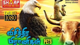 விசித்தர பிராணிகள்ஹாலிவுட் DUBBED MOVIE  சூப்பர் ஹிட் பில்ம்ஸ் HOLLYWOOD HD MOVIE NEW COLLECTION [upl. by Cannice132]