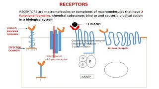 BASIC CONCEPT OF RECEPTORS TARGETS OF DRUG ACTIONS PART 1 [upl. by Marylee624]