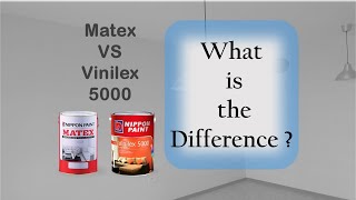 Nippons Matex Emulsion Vs Vinilex 5000 Paint Review [upl. by Hgielrahc]