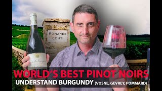 Finest Burgundy Wines  Your Guide to Top Pinot Noirs  VosneRomanée Pommard GevreyChambertin [upl. by Sissel]