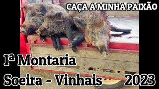 🐗1ª Montaria em Soeira Vinhais  TrásosMontes🐗 [upl. by Femmine361]